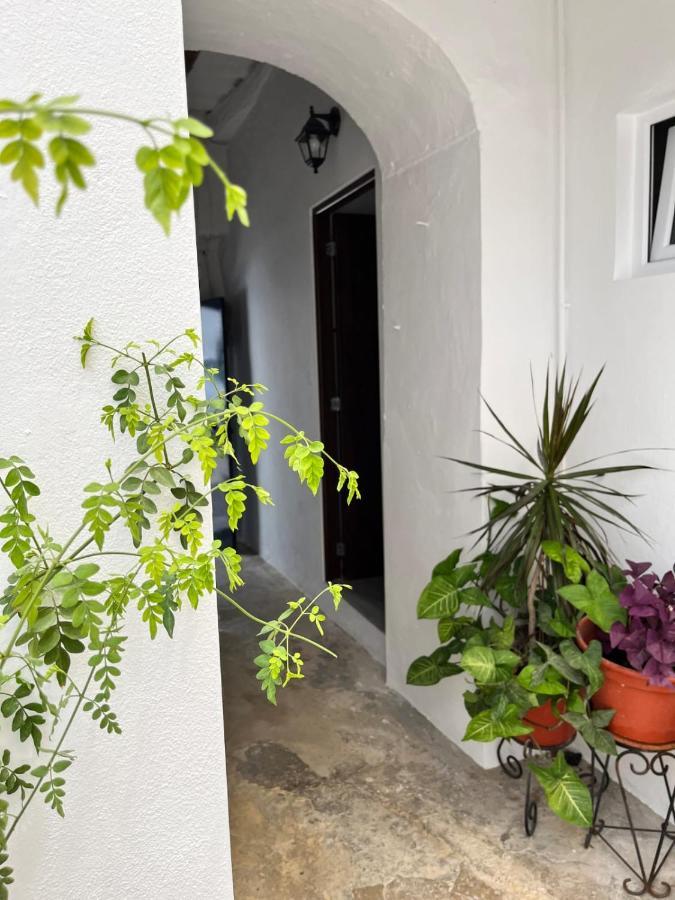 Apartamento 29 아르코스델라프론테라 외부 사진